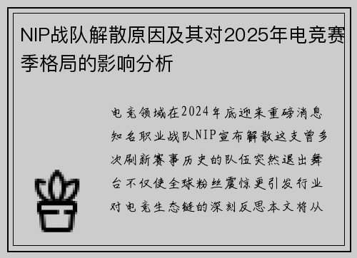 NIP战队解散原因及其对2025年电竞赛季格局的影响分析